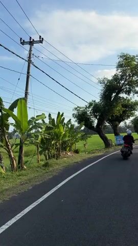 The video shows a rural roadside scene. A paved road with a white line runs through the center of the frame. To the left of the road are banana plants and a lush green rice paddy field. A tall tree with spreading branches is positioned near the road. In the distance, more trees, including palm trees, dot the horizon under a blue sky with scattered clouds. Power lines crisscross the sky, supported by poles. A blue sign with white text, "WARUNG MAKAN JAWA SS-AB," is visible near one of the trees. A motorcycle with a rider is briefly seen on the road in the right side of the frame, moving away from the camera. The overall environment is natural and agrarian.