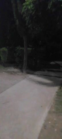 A very dark video shows a narrow paved walkway leading past a tree and some bushes on the left. Shadows are cast on the walkway, indicating a light source off-camera. The background is entirely black, obscuring any details of the surroundings.