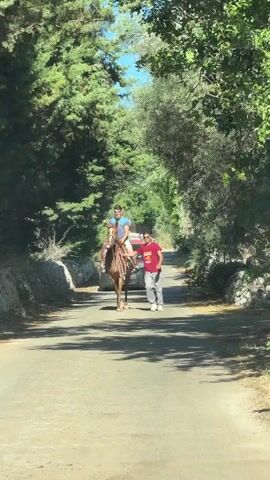 A young man rides a brown horse down a paved road bordered by trees and stone walls. Another man, wearing a red t-shirt and gray pants, walks beside the horse, holding its reins. A red car is visible in the background. The scene appears to be a sunny day in a rural or natural setting.