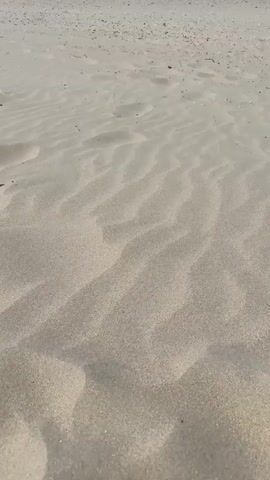 The video shows a close-up view of sand dunes on a beach. The sand is light brown and appears dry, with ripples formed by the wind. In the distance, the top of the dunes and a lighter-colored horizon are visible. There are no people or other objects in the frame. The camera angle is low, focusing on the texture and patterns of the sand. The lighting suggests it is daytime.