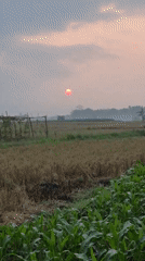 Sunrise morning in a rural Indonesian village with cats and chickens