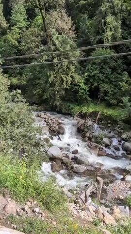 A fast-moving stream flows over rocks and debris, surrounded by lush green trees and foliage. Two wires are visible in the upper portion of the frame, suggesting the stream might be near a road or a populated area. The water is white and frothy, indicating a rapid current. The overall scene is one of natural beauty and untamed wilderness, with the presence of the wires hinting at human proximity.