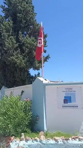 A Tunisian flag flutters on a flagpole in front of a light blue and white building. The building has a sign with Arabic text and a logo. A green bush with pink flowers is to the left of the flagpole. A large green tree is in the background. The sky is clear and blue.
