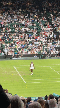 Grass court tennis match, scoreboard showing Serena