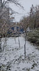 Spring snowfall blankets Moscow streets and trees