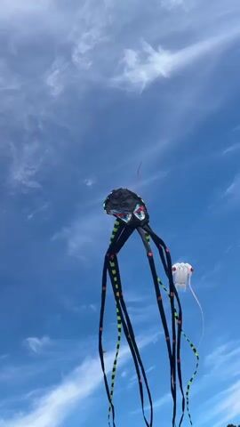 A black kite shaped like an octopus with large, angry eyes and green and black striped tentacles flies against a blue sky with wispy clouds. To the right, a smaller white kite shaped like a jellyfish is also visible. The camera angle is looking up at the kites. The scene appears to be outdoors, possibly at a beach or park, indicated by the clear sky and the presence of kites. No people are directly visible in the frame.