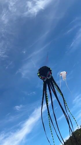 Octopus and jellyfish kites fill the skies over Yantarny