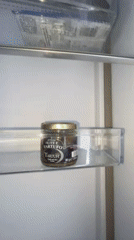 Woman filmed with nearly empty refrigerator in Russian suburb