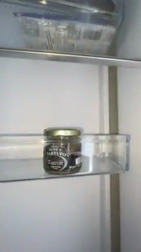Woman filmed with nearly empty refrigerator in Russian suburb
