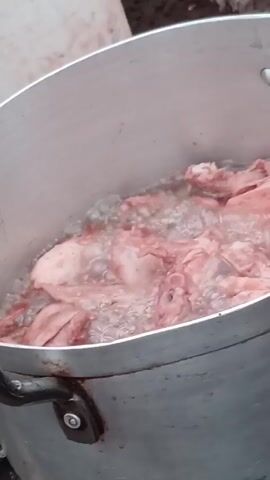 Here is a description of the video:

A large, silver-colored pot holds several pieces of what appears to be raw meat, possibly chicken or pork, submerged in boiling water. The water is bubbly and slightly cloudy. The pot has a black handle attached with silver bolts. The background is a mix of blurred objects, including a white bucket and a gray rock or dirt patch. The lighting is somewhat dim and overcast.