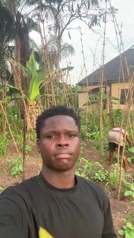A young, dark-skinned man wearing a black t-shirt is standing in a garden and looking at the camera. Behind him, another person is working the garden. There are stalks of bamboo sticking up in the garden among the plants. A single-story house with a dark roof and tan-colored walls is visible in the background. There are also palm trees and other vegetation visible. The lighting appears to be overcast.
