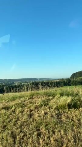 The video shows a landscape view from a moving vehicle. A clear blue sky dominates the upper portion of the frame. Below the sky, a rolling green field stretches across the middle ground, with a line of dark green trees forming a distant treeline. The foreground consists of a grassy area with a textured appearance, suggesting it might be a rougher terrain or closer vegetation. The overall impression is of a bright, sunny day with a scenic rural environment. The perspective suggests the viewer is traveling, likely by car or train, as the landscape appears to be passing by.