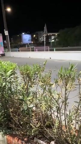 The video pans from left to right, focusing on a pink food truck with the words "MINI DONUTS" displayed on its side. The truck has images of donuts on its exterior. In the foreground, there are green bushes and plants. In the background, there is a street at night with some buildings and a billboard. A street light is visible on the left side of the frame.