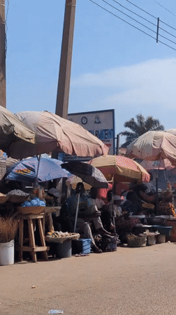 Daily street life and market activity documented in Narayi