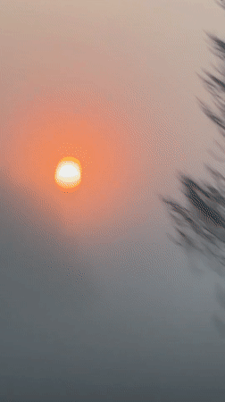 Foggy morning conditions documented in Cuapiaxtla, Mexico