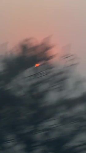 Foggy morning conditions documented in Cuapiaxtla, Mexico