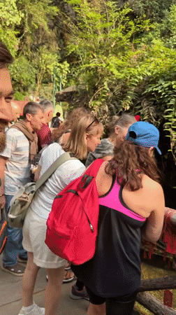 Tourists photograph waterfalls and teapot art installation in Wulingyuan