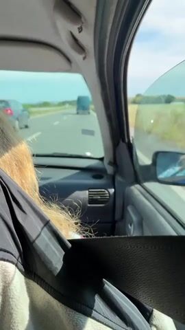 The video shows the interior of a car from the perspective of a passenger in the back seat. The passenger's blonde hair is visible in the foreground, partially obscuring the view. The passenger is wearing a black and white jacket. A seatbelt is across the passenger. The car is driving on a highway. In the distance, several other cars can be seen on the road, including a dark-colored sedan and a light-colored SUV. The road is flanked by grassy fields and trees. The sky is bright and appears to be a clear day. The window on the passenger side is partially open.