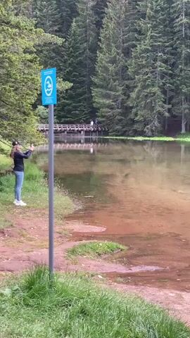 The video shows a serene natural landscape featuring a calm lake surrounded by a dense forest of tall evergreen trees. The water in the foreground is shallow and clear, revealing a sandy or muddy bottom, while further out it reflects the green of the trees and the sky.

In the foreground, a group of three young women are standing on the earthy bank next to the lake. One woman, with long blonde hair, is wearing a white sweatshirt and light-colored shorts, and is actively looking at her phone. Another woman, with a brown handbag over her shoulder, is wearing a white hoodie and dark shorts, looking out towards the lake. A third woman, with darker hair, is seen from behind, wearing a white and blue top.

Further across the lake, a wooden bridge stretches from one side to the other, with several people walking on it. In the distance, other individuals can be seen walking through the forest near the lake's edge. A duck is also visible swimming in the water near the women.

There are two signs visible. On the left, a blue sign on a metal pole depicts a swimming person with a diagonal line through it, indicating "no swimming." On the right, a wooden sign partially submerged in the water has Cyrillic text that reads "KUPANJE ZABRANJENO NA LICNU ODGOVORNOST," which translates to "SWIMMING FORBIDDEN AT YOUR OWN RISK." The setting appears to be a tranquil spot in Pitomine, Montenegro. The time of day is daytime, with soft, diffused lighting suggesting an overcast sky.
