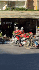 Dachshunds roam Da Lat streets amid flower vendors and motorbikes