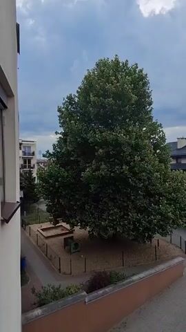 A satellite dish is visible in the foreground of the video. Beyond the dish, a large tree stands in the middle of a sandbox play area. In the background, houses with dark roofs and manicured hedges are visible, along with a cloudy sky. The video appears to have been shot from a balcony or elevated position, as a section of a building's exterior is also visible.