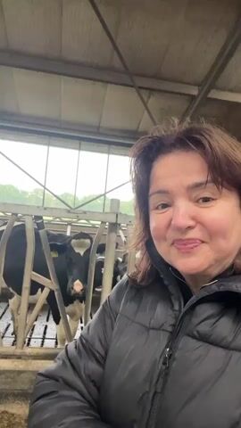 A medium shot video features a woman in the foreground and several cows behind her. The woman is smiling and looking at the camera, wearing a black puffer jacket. She has shoulder-length brown hair. Behind her, several black and white Holstein Friesian cows are visible in a barn. The cows are standing and some are lying down behind a metal feeding trough. The environment appears to be an indoor barn with a metal roof structure.