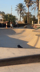 Skating a graffiti-covered concrete bowl in Barcelona