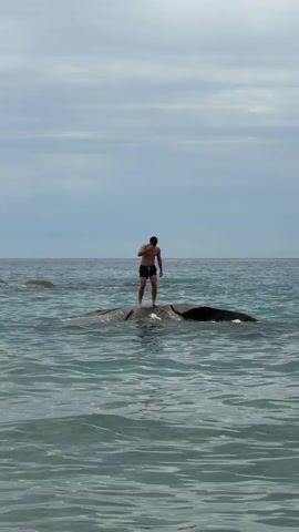 A man stands on a large rock in the ocean. He is wearing swimming trunks. The ocean is calm and the sky is cloudy. The man is looking down at his hand.