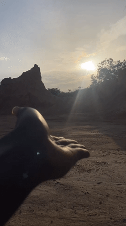 Desert sunrise captured in Achara, Nigeria