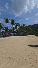 Koh Samui beach strip: cabins, flags, and a monkey mural