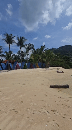 Koh Samui beach strip: cabins, flags, and a monkey mural