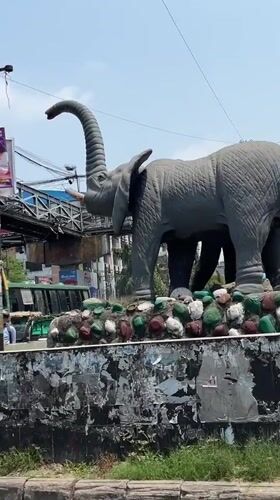 Elephant statue filmed in busy Dhaka street scene