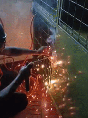 Cats observed during morning welding work in Nairobi residence