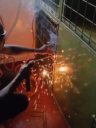 Cats observed during morning welding work in Nairobi residence