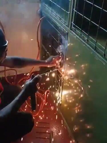 Cats observed during morning welding work in Nairobi residence