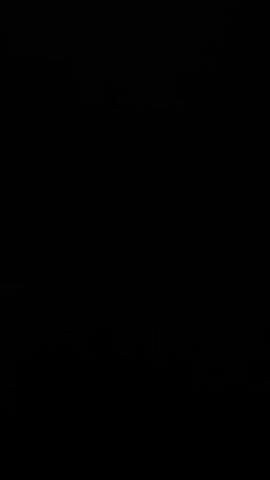 This media file contains a single, static image of pure blackness. There are no discernible subjects, objects, scenes, or settings visible. No activity or event is taking place. There are no notable details such as time of day, weather, location cues, or emotions. There is also no visible text in the image. The file is entirely black, suggesting it may be a corrupted file, a deliberately blank image, or an intentional placeholder.