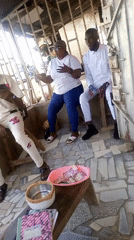 Informal outdoor meeting documented in Nigeria