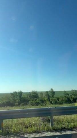 A video taken from a moving vehicle shows a wide expanse of a clear blue sky above a flat, green landscape. A metal guardrail is visible in the foreground, separating the roadway from the grassy shoulder. Several trees and bushes dot the middle ground, breaking up the otherwise uniform green fields that stretch to the horizon. The sun is shining brightly, casting lens flares across the sky. The video appears to be shot during the daytime, likely in a rural or agricultural area. There are no people or significant interactions depicted in the video.