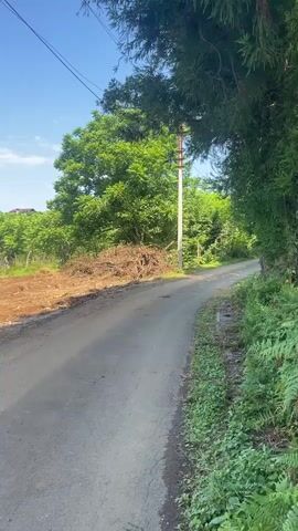A person is walking on a paved road that curves to the right. The road is lined with greenery on both sides. On the left side of the road, there is a cleared area with dirt and a pile of branches. Further to the left, there are trees and a power line. On the right side of the road, there are trees and grass. A concrete pole stands next to a large, broken concrete pipe on the left side of the road. A white car is parked on the gravel area to the left of the road. The sky is blue with some white clouds.