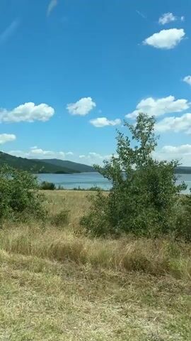 A handheld video pans from left to right showing a landscape under a bright blue sky with scattered white clouds. In the foreground, there is dry, tall grass and some green vegetation. To the left, a large leafy tree stands prominently. In the middle ground, there is more dry grass and then a body of water, likely a lake or reservoir, with hills in the background. The video also shows a portion of a rusty guardrail in the lower right corner of the frame. There are no people or animals visible. The overall scene depicts a sunny, natural environment, possibly a rural roadside view.