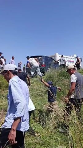 Several individuals are gathered on a grassy embankment under a clear blue sky. A dark-colored SUV is partially visible, positioned on the embankment, appearing to be stuck or at an unusual angle. A group of men, dressed in casual clothing and hats, are actively engaged on the embankment. Some are climbing up the slope, while others appear to be pushing or assisting from behind the vehicle. One person is seen in the foreground, facing away from the camera, wearing a striped blue and white shirt and dark pants. The environment is characterized by tall, dry grass and a noticeable incline. In the background, other vehicles, including what appears to be a white car with red and blue markings, are present, suggesting a possible roadside incident. The overall scene depicts a collective effort to extricate the SUV from its predicament.