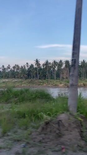 Vehicle journey through coconut groves recorded in rural Indonesia