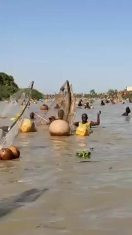 The video shows a large group of people participating in what appears to be a fishing event in a wide, muddy-looking river. The water is calm. The sky is clear and blue. People are spread out across the water, many of them using large, open-framed nets supported by buoyant objects like gourds or yellow containers. The people are mostly submerged up to their chests or necks. Some people are waving or have their arms raised. The shoreline in the background is visible with some vegetation and what looks like buildings in the distance.