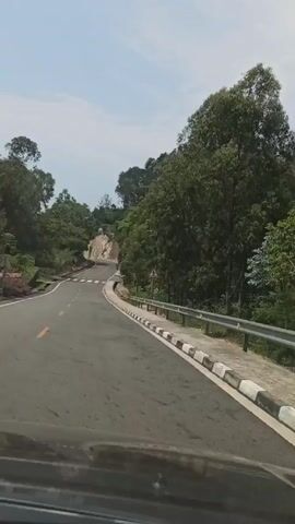 The video shows a view from inside a car driving on a winding road. The road is paved and has a yellow line marking the center. On either side of the road are trees and greenery. There is a pedestrian crossing ahead. A road sign is visible. The sky is light blue. A voice can be heard. The car is moving at a slow speed.