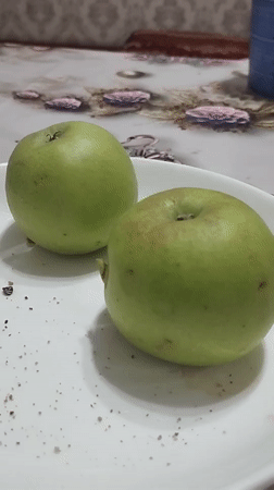 Tea, apples, and TV on a quiet Dushanbe afternoon