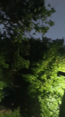 Heavy rainfall documented in Tashkent during evening hours