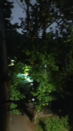 Heavy rainfall documented in Tashkent during evening hours