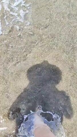 The video shows a beach with calm waves gently lapping on the sandy shore. The water is clear and the sky is blue with scattered clouds. A dark shadow of a person taking the video is visible in the foreground. In the distance, a rock barrier or breakwater extends into the ocean. In the far distance, what appears to be a land mass is slightly visible. The video captures a serene coastal scene.