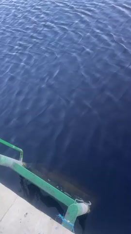 The video shows a view of dark blue water with gentle ripples, suggesting a calm body of water like a lake or river. In the foreground, a weathered green metal ladder or ramp dips into the water from a wooden dock. The ladder appears to be slightly rusted and attached to a concrete structure. The lighting indicates it's daytime, possibly late morning or early afternoon, with the sun casting subtle highlights on the water's surface. Some sparse vegetation, like reeds, can be seen along the edge of the water in the distance, hinting at a natural, possibly rural or park-like setting. The overall mood is tranquil and serene, with the gentle movement of the water creating a sense of peace. There is no visible text in the media file.