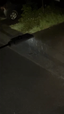 Rainy night and farm animal mugs documented in Great Yarmouth